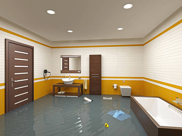 Professional Water damage restoration in Forest Lake, MN